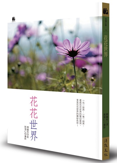 花花世界